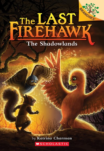 The Shadowlands: A Branches Book